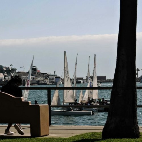 A person sitting on a bench beside the water
