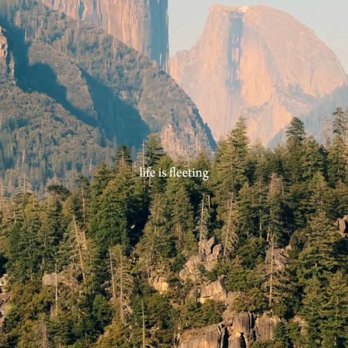 Half Dome and Yosemite Valley glowing in late afternoon light